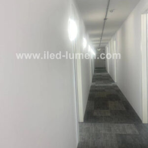 DALI and Emergency LED Ceiling Light for Building Corridor Lighting 2