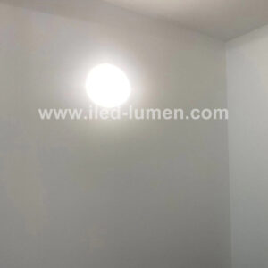 DALI and Emergency LED Ceiling Light for Building Corridor Lighting