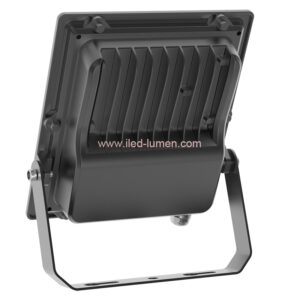 DALI Security Light LED 30W Dimmable IP66